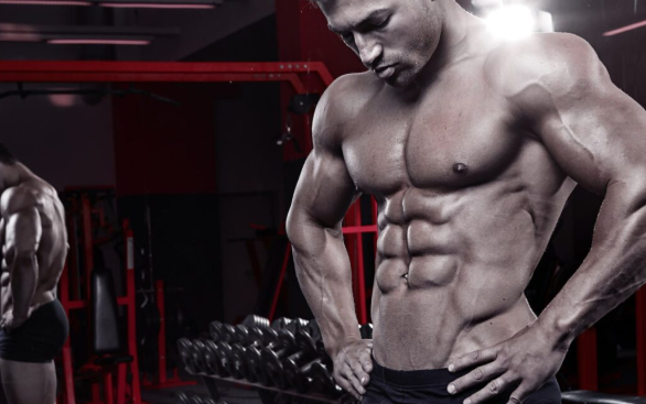 The Best Workout Splits for Beginners: Build Muscle Fast